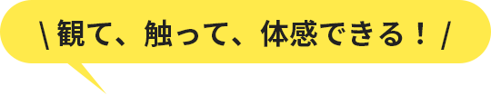 観て、触って、体感できる！