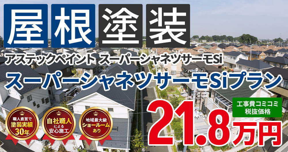シリコンプラン塗装 21.80万円（税込23.98万円）